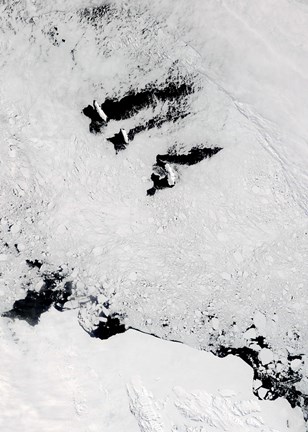 Framed Balleny Islands, near Antarctica Print