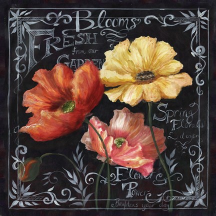 Framed Flowers in Bloom Chalkboard II Print