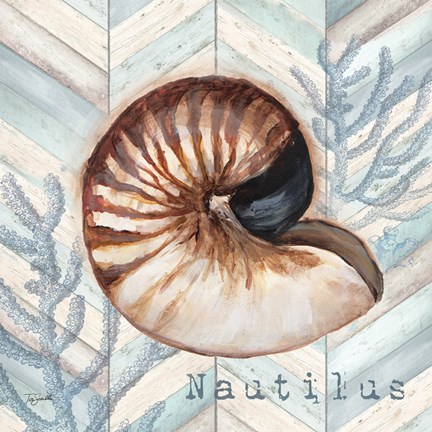 Framed Chevron Shell IV Print