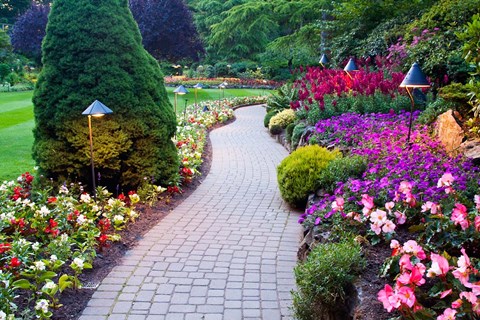 Framed Path and Flower Beds in Butchart Gardens, Victoria, British Columbia, Canada Print