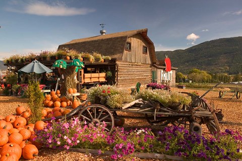 Framed Log Barn and Fruit Stand in Autumn, British Columbia, Canada Print