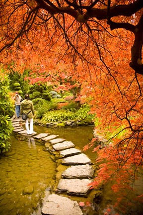 Framed Japanese Garden, Butchart Gardens, Victoria, BC Print