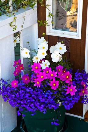 Framed British Columbia, Victoria, Flower Pot Print