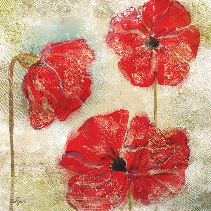 Framed Poppy Passion II Print