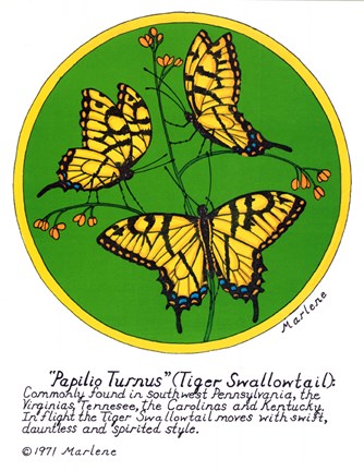 Framed Tiger Swallowtail Print