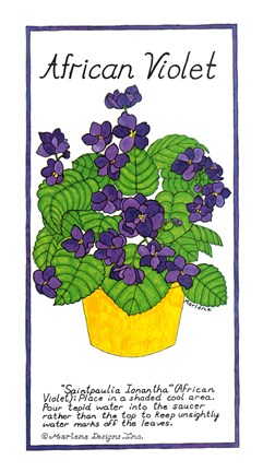 Framed African Violet Print