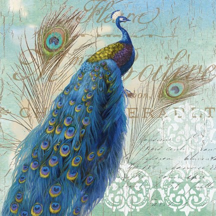 Framed Le Plume I Print