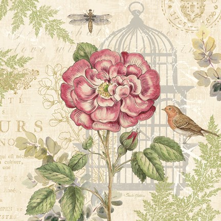 Framed Floral Nature Trail IV Print