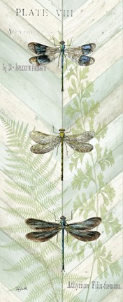 Framed Dragonfly Botanical Panels II Print