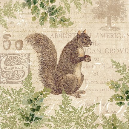 Framed Woodland Trail III (Squirrel) Print