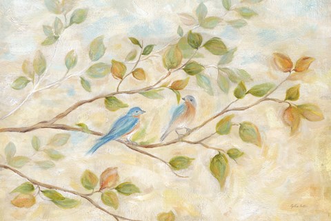 Framed Blue Birds Branch Print