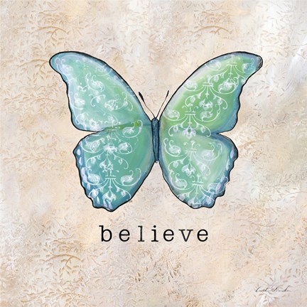 Framed Butterfly Expressions III Print