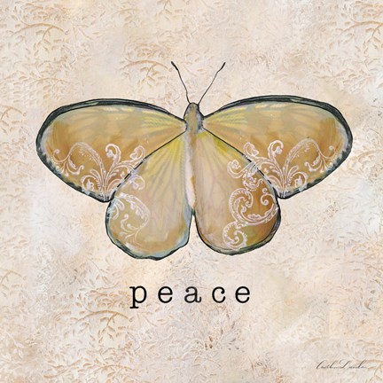 Framed Butterfly Expressions IV Print