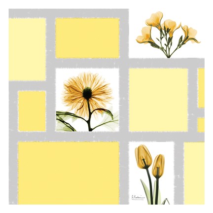Framed Mondrian Flowers 2 Print