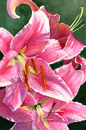 Framed Stargaze Print