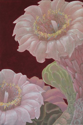 Framed Saguaro White Print