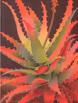 Framed Sunset Agave Print