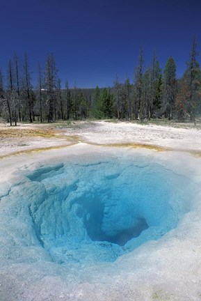 Framed Morning Glory Pool, Yellowstone National Park, Wyoming Print