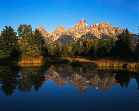 Framed Teton Range and Snake River, Grand Teton National Park, Wyoming Print