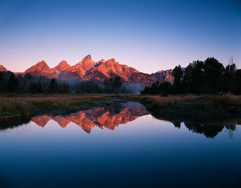 Framed Teton Range reflecting in Beaver Pond, Grand Teton National Park, Wyoming Print