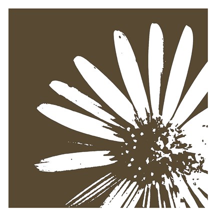 Framed Graphic Flower 2 Print