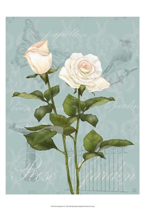 Framed Cream Rose II Print