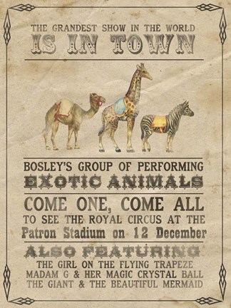 Framed Vintage Circus III Print