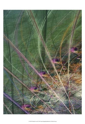 Framed Wetland Vector II Print