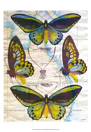 Framed Butterfly Map III Print