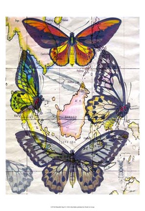 Framed Butterfly Map IV Print