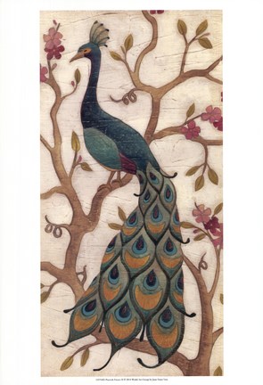 Framed Peacock Fresco II Print