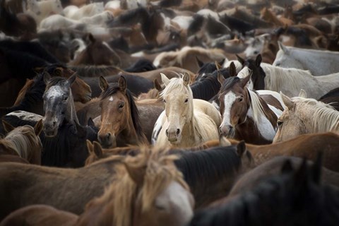 Framed Meeting Place Print