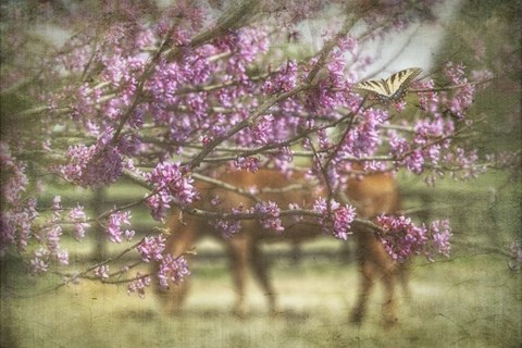 Framed Spring has Sprung Print