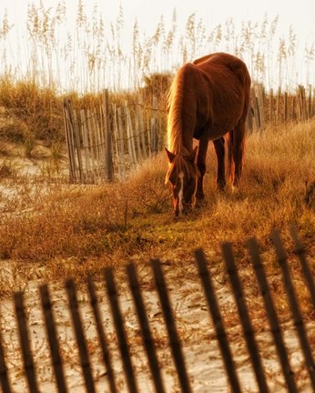Framed Solitary Light Print