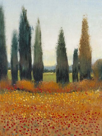 Framed Cypress Trees I Print