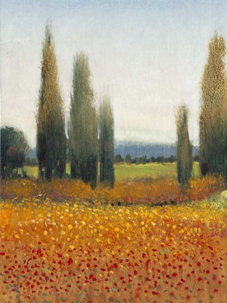 Framed Cypress Trees II Print