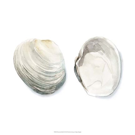 Framed Watercolor Shells II Print