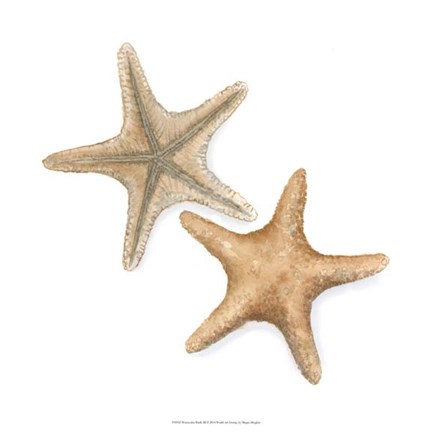 Framed Watercolor Shells III Print