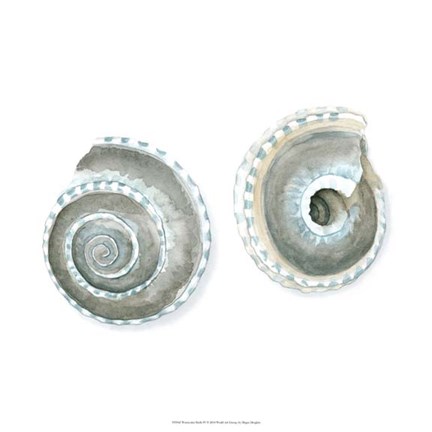 Framed Watercolor Shells IV Print