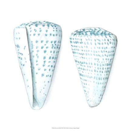 Framed Watercolor Shells VIII Print