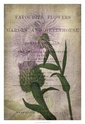 Framed Favorite Flowers II Print