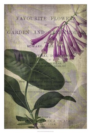 Framed Favorite Flowers III Print