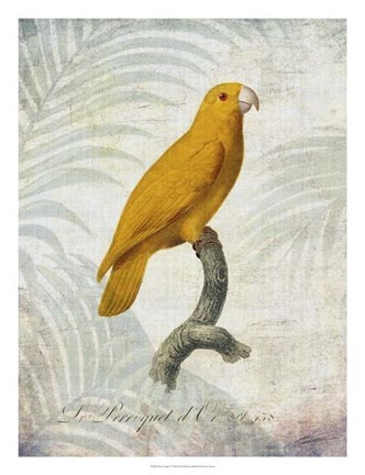 Framed Parrot Jungle V Print