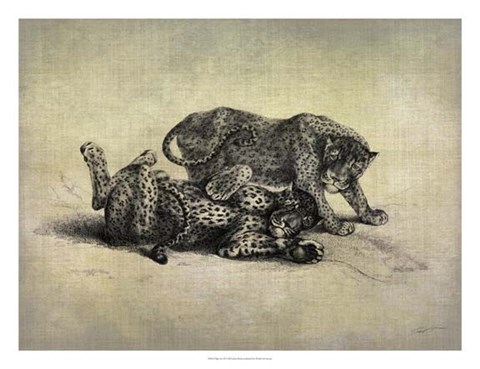 Framed Big Cats II Print