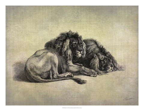 Framed Big Cats IV Print