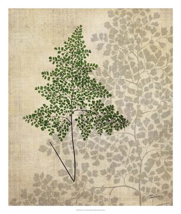 Framed British Ferns I Print