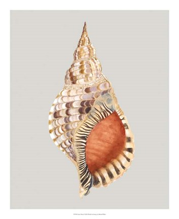 Framed Giant Triton Print