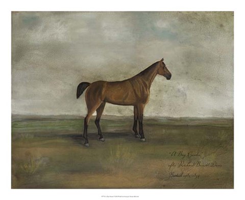 Framed Bay Hunter Print