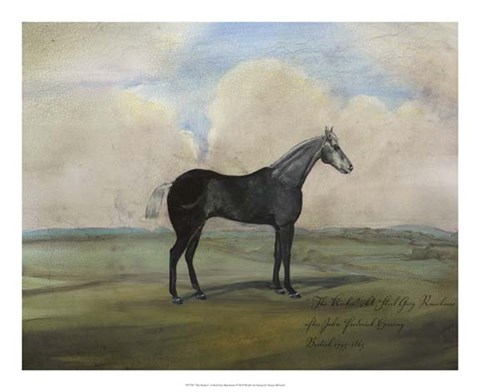 Framed &quot;&quot;The Kicker,&quot;&quot; A Steel Grey Racehorse Print
