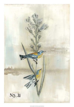 Framed After Flight I Print